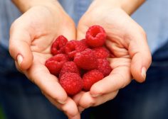 https://sezonskiposlovi.com/wp-content/uploads/2017/05/handful-of-fresh-raspberries-PJ9KTUV-236x168.jpg